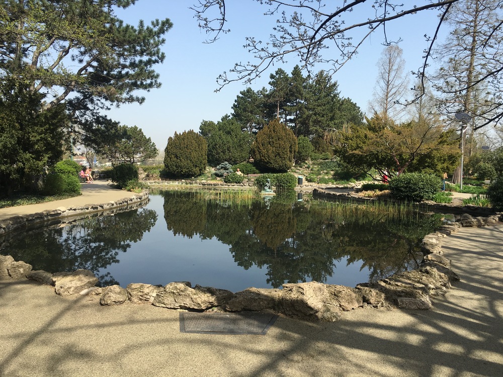 There were frogs in the pond! And you can walk further back and the garden extends!