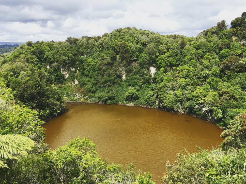 The Emerald Pool - it changes color based on the plant life in there. From hues of blue to brown and, of course, emerald!